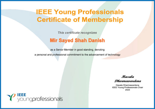 IEEE Young Professionals